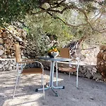 Lemon Tree * Podaca