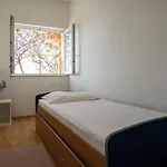 Apartamento Lemon Tree