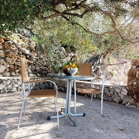 Lemon Tree * Podaca