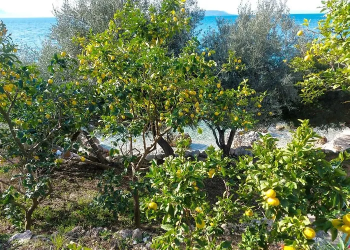 Lemon Tree Apartman Podaca